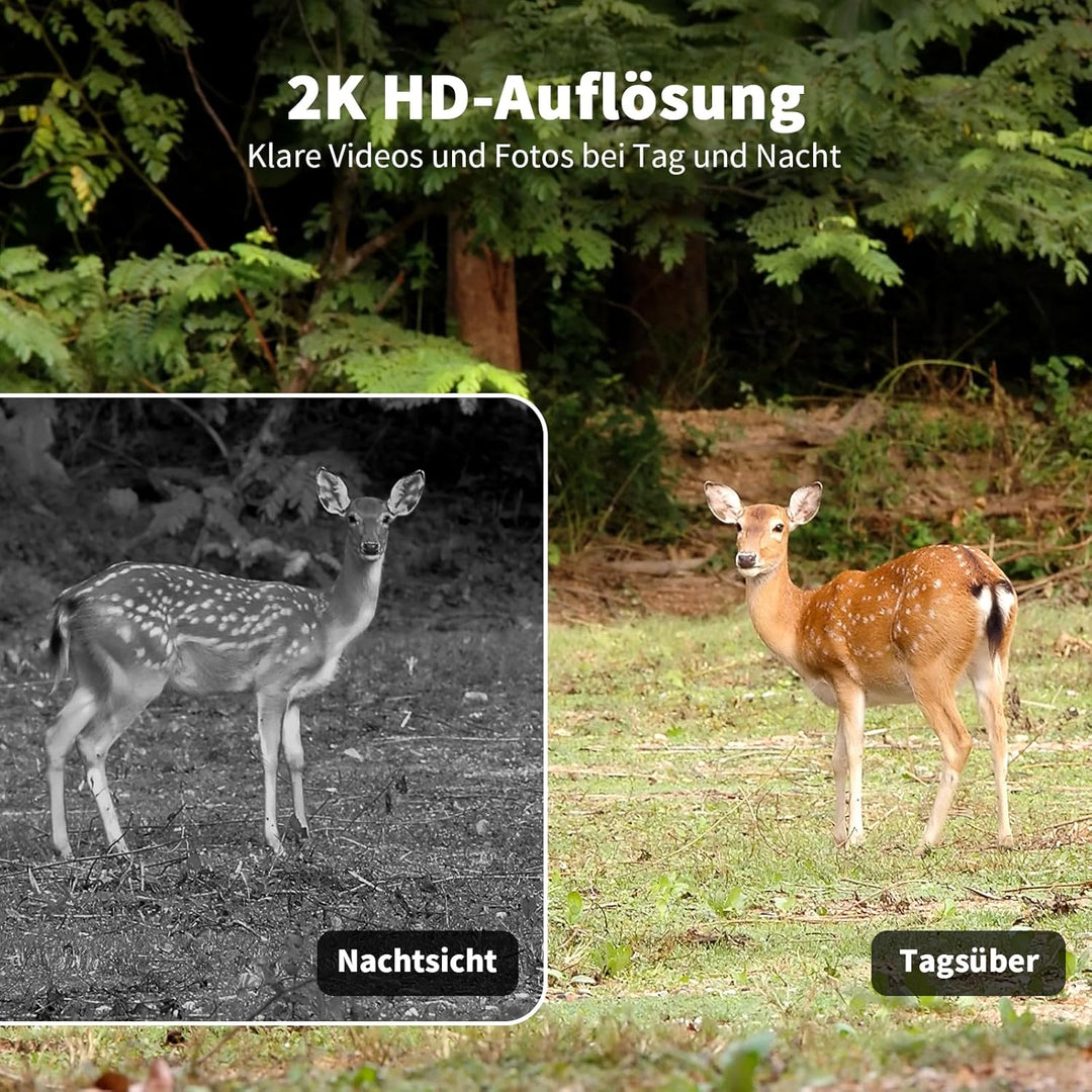 NUASI 4G LTE Wildkamera mit SIM Karte, 2K Kabellos Solar Wildtierkamera mit Handyübertragung App, Üb