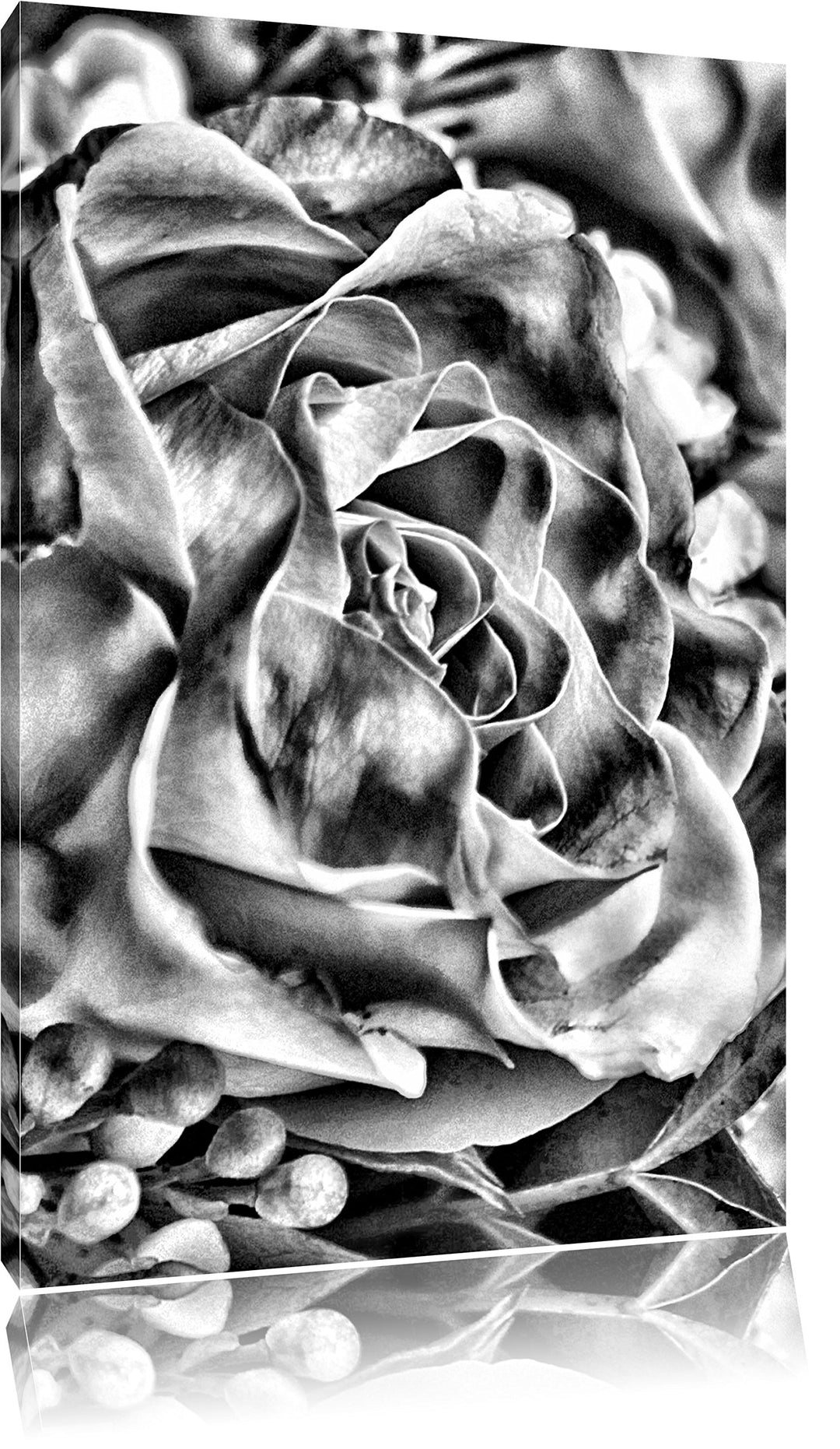 Monocrome, Rosa Rose, Format: 100x70 auf Leinwand, XXL riesige Bilder fertig gerahmt mit Keilrahmen,