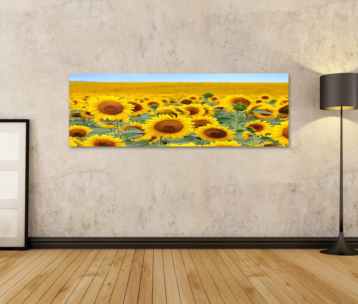 islandburner Bild auf Leinwand Schönes Sonnenblumenfeld Im Sommer Bilder Wandbilder Poster Leinwand