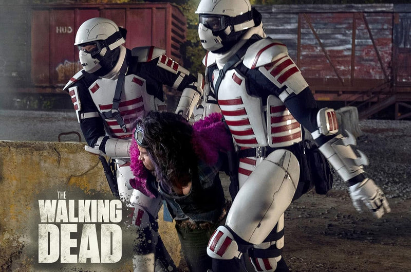 The Walking Dead - Staffel 10 [6 DVDs], DVD