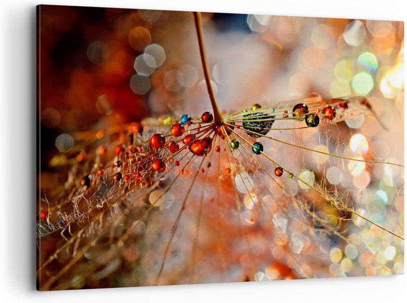 Bilder auf Leinwand 100x70cm Leinwandbild mit Rahmen Spinnennetz modern Gross Wanddeko Bild Schlafzi