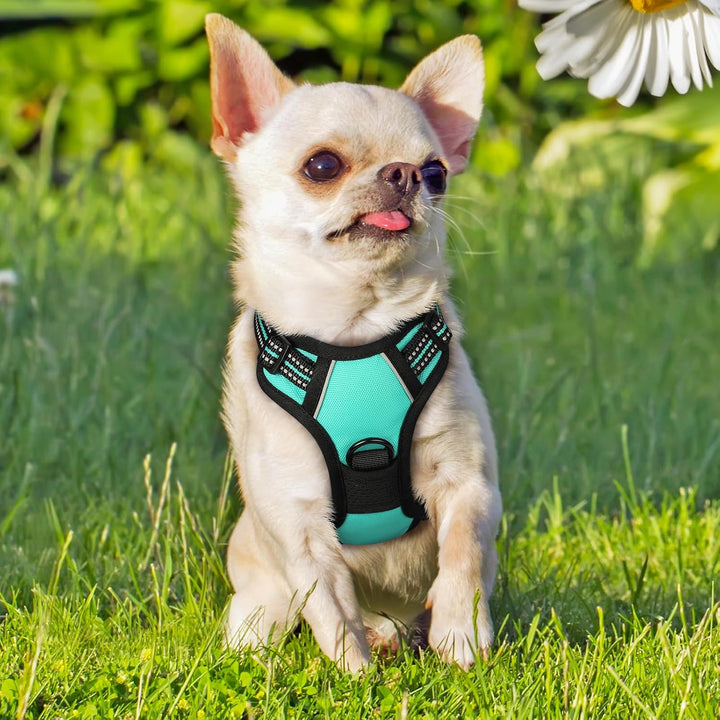 rabbitgoo Hundegeschirr Kleine Hunde, Anti Zug Geschirr mit Kontrolle, No Pull Verstellbar Hundegesc