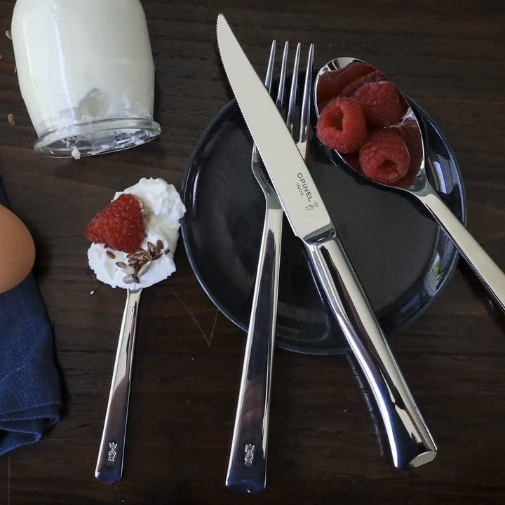 Opinel Schachtel mit vier Tafelmessern Perpétue aus Edelstahl, leicht zu reinigen, gut für Fleisch u