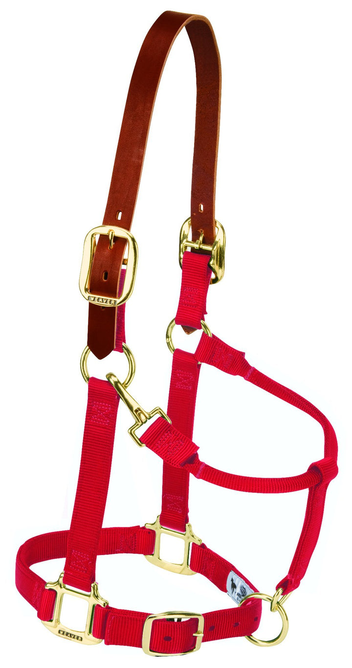 Weaver Leather Breakaway Original Verstellbares Kinn- und Halfter mit Schnappverschluss Small Horse