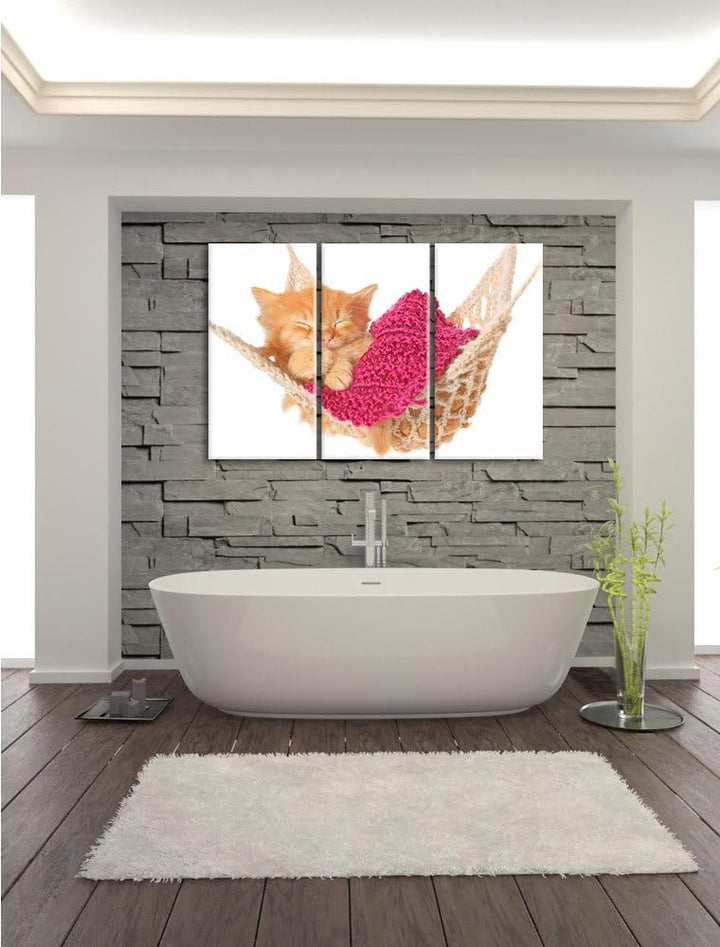 Pixxprint Schlafendes Katzenbaby in Hängematte 3-Teiler Leinwandbild 120x80 Bild auf Leinwand