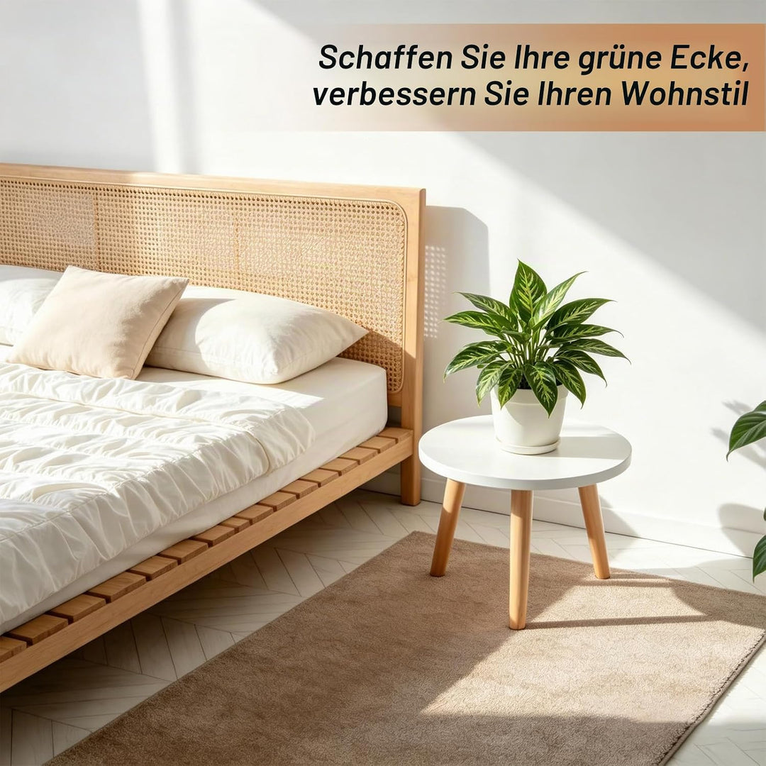 Pflanzenständer Holz, Pflanzenhocker Holz Klein, Blumenbank für Innen Blumenständer Rund Hohe Belast