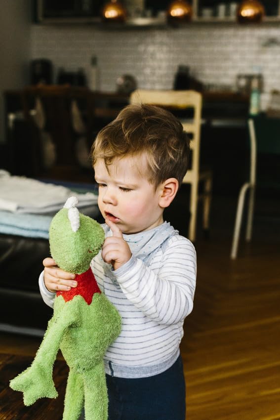 Efie Bio - Spieluhr Schlenker Frosch, kontrolliert biologischer Anbau (organic), Made in Germany, GO