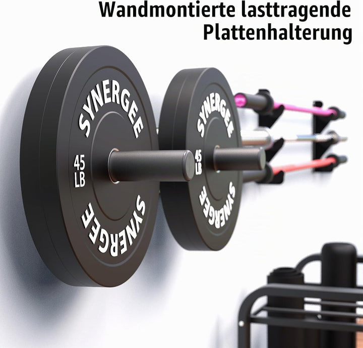 2 Stück Hantelscheibenständer, 50MM Hantelscheiben Halterung wandmontiert Wall Mounted Weight Plate