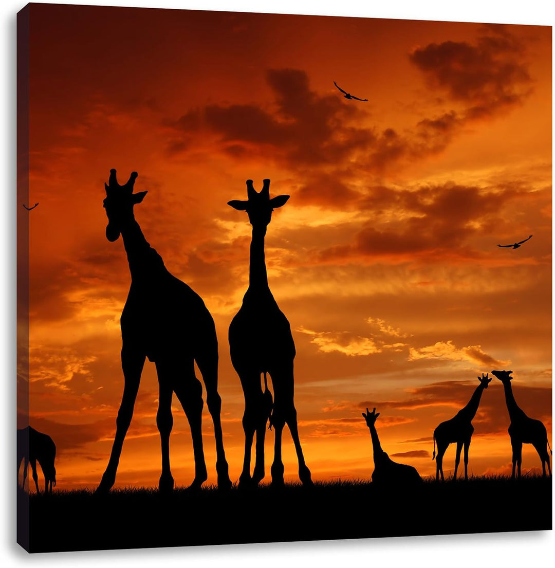 Pixxprint Afrika Giraffen im Sonnenuntergang, Format: 70x70 auf Leinwand, 70x70