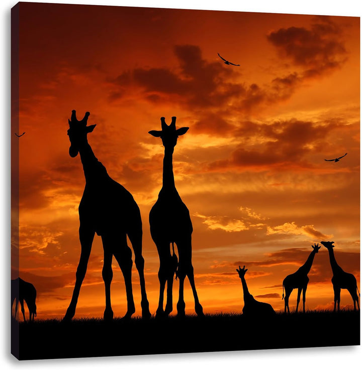 Pixxprint Afrika Giraffen im Sonnenuntergang, Format: 70x70 auf Leinwand, 70x70