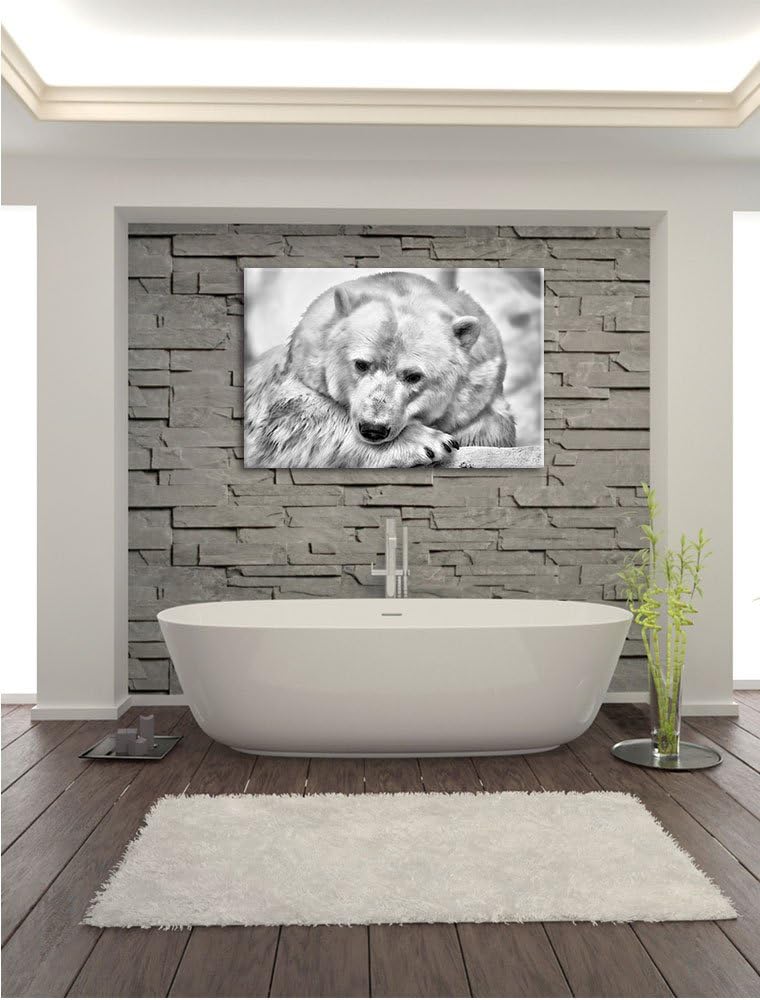 Pixxprint Nachdenklicher Eisbär / 100x70cm Leinwandbild bespannt auf Holzrahmen/Wandbild Kunstdruck