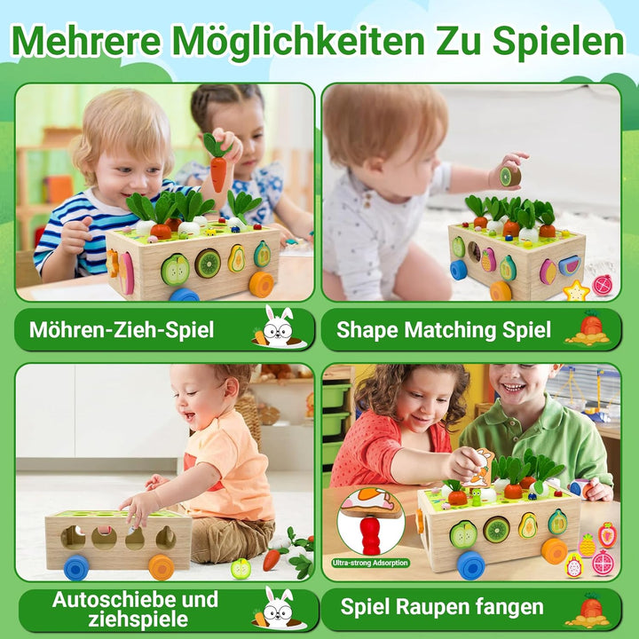 RunHero Montessori Holz Sortierspie Karotten Steckspiel Holzspielzeug ab 1 Jahr Holztiere Motorikspi