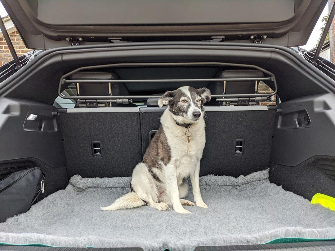 ERGOTECH Trenngitter Hundegitter kompatibel mit Volkswagen ID.3, RDA65HBG-2HXXS8, für Hunde und Gepä