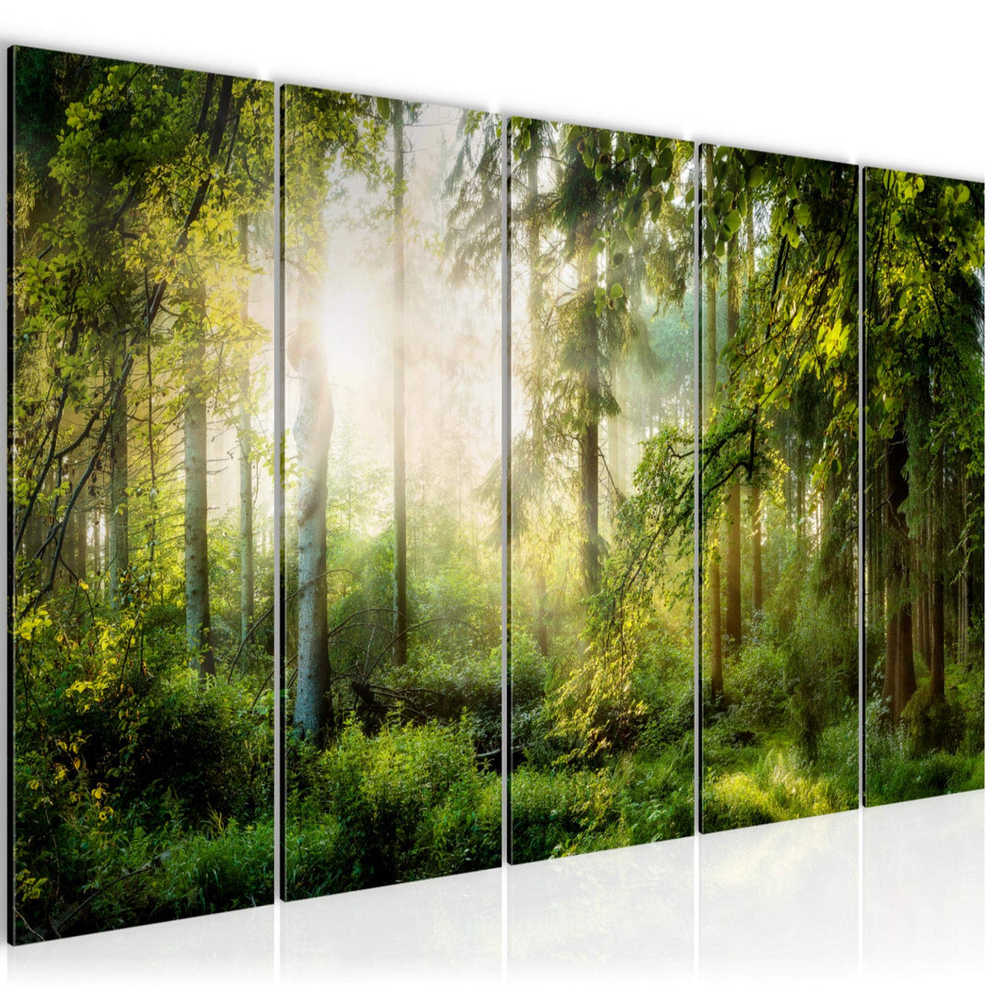 Runa Art Bild Wald Landschaft Wandbilder auf Vlies Leinwand 5 Teilig Wanddekoration Schlafzimmer Woh