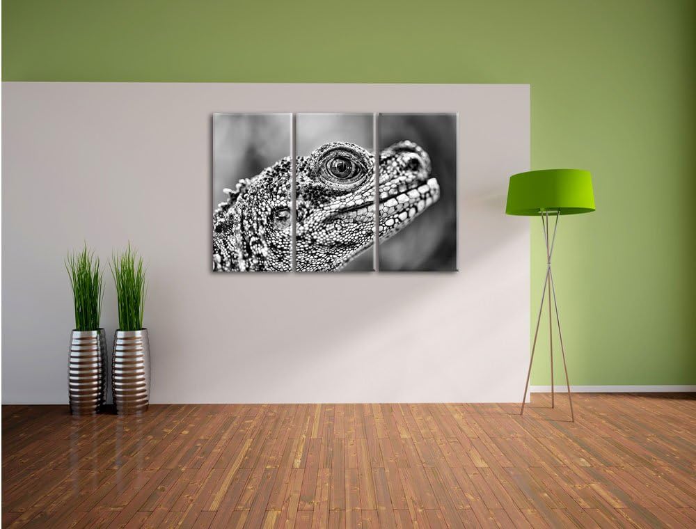 Pixxprint grosser Schuppenwaran als Leinwandbild/Grösse: 3 Teilig (120x80) cm/Wandbild/Kunstdruck/fe