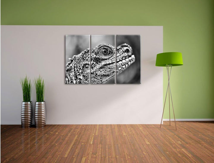 Pixxprint grosser Schuppenwaran als Leinwandbild/Grösse: 3 Teilig (120x80) cm/Wandbild/Kunstdruck/fe