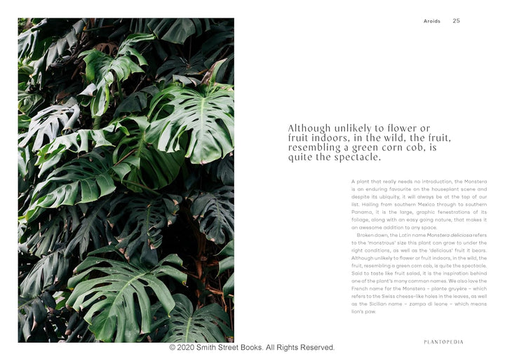 Plantopedia: The Definitive Guide to House Plants, Gebundenes Buch