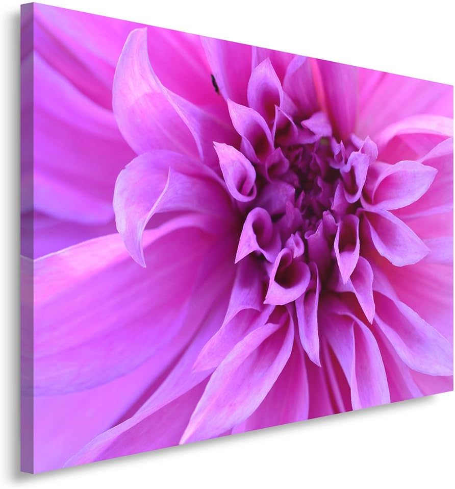 Feeby. Wandbild - 1 Teilig - 70x100 cm, Leinwand Bild Leinwandbilder Bilder Wandbilder Kunstdruck, B