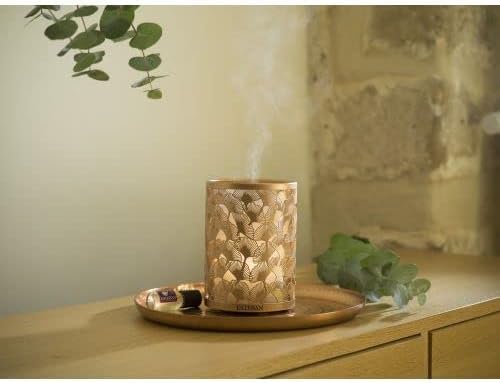 Esteban Edition Cuivre & Lumière Parfüm Diffusor Brumizer