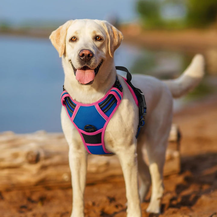 rabbitgoo Hundegeschirr Mittelgrosse Hunde, Anti Zug Geschirr mit Kontrolle, No Pull Verstellbar Hun