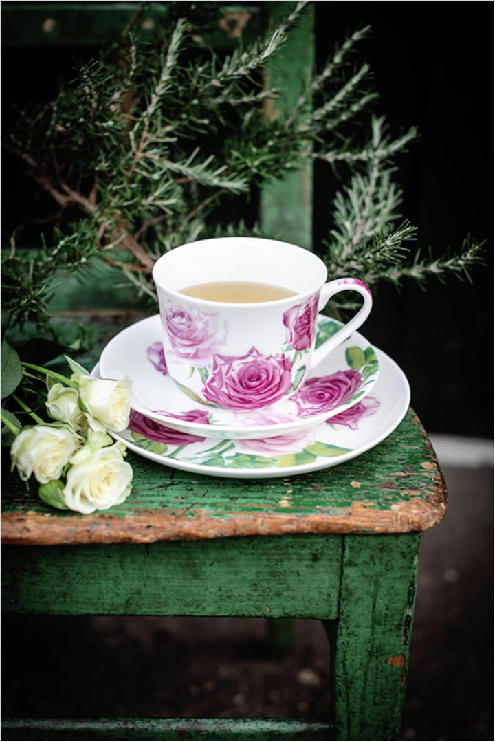 Maxwell &amp; Williams JY0046 Teller rund Ø 20 cm – Serie Floriade – Bone China Porzellan Weiss glatt –