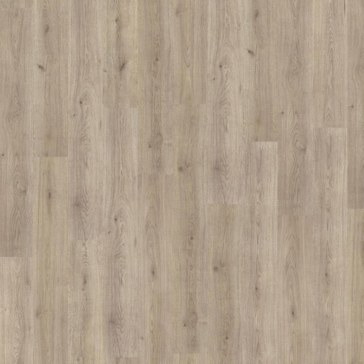 Laminat Trend Eiche Grau – Superior Basic Serie, 193 × 1376 mm, 6 mm dick, moderne Holzoptik in Land