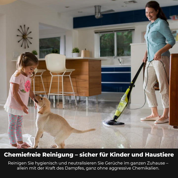 H2O HD Dampfreiniger &amp; Dampfbesen - Tötet 99,9% der Bakterien ohne Reinigungschemikalien (H20 HD Ste
