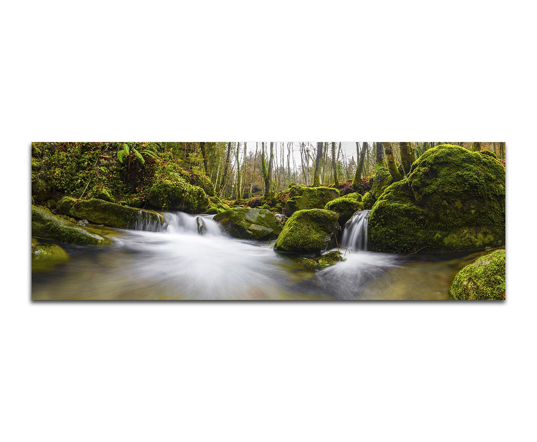 Paul Sinus Art Panoramabild auf Leinwand und Keilrahmen 150x50cm Wald Steine Moos Waldbach Herbst