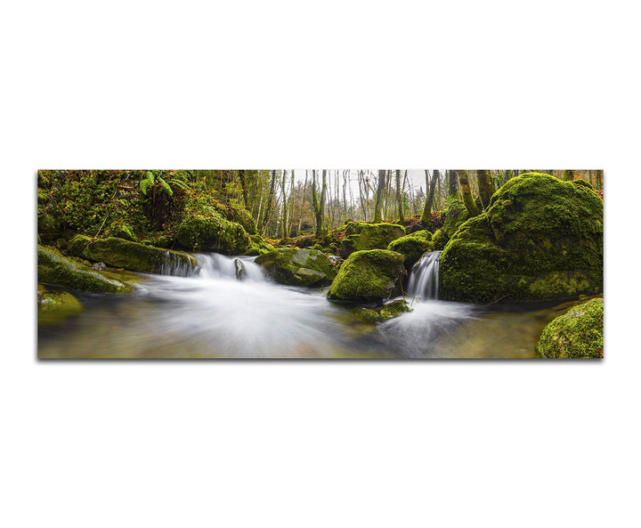 Paul Sinus Art Panoramabild auf Leinwand und Keilrahmen 150x50cm Wald Steine Moos Waldbach Herbst