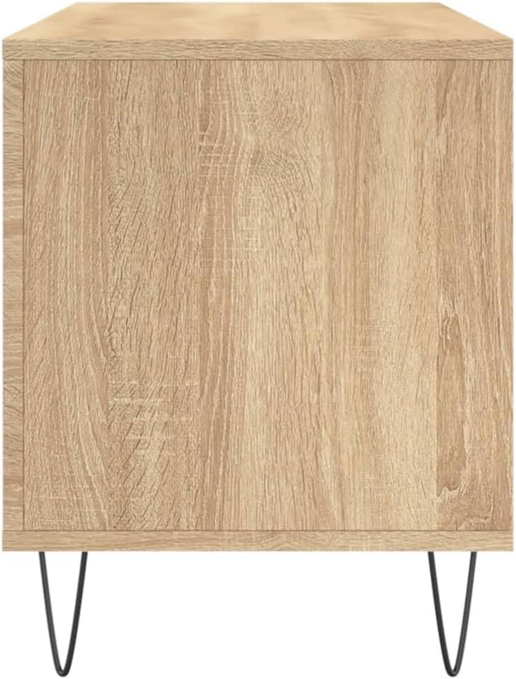Sonoma Eiche Möbel Regal CD-Halter Vinyl Bass TV Holz Mehrschichtig 100x38x48 cm Sonoma Eiche, 100x3