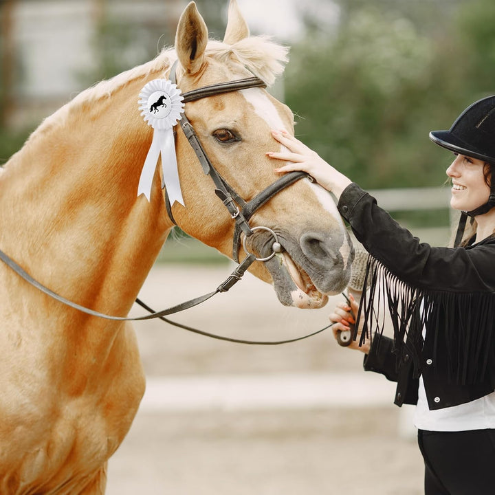 5 Stück Turnierschleife Pferd Turnierschleife Hobby Horse Turnierschleifen Abzeichen Turnierschleife