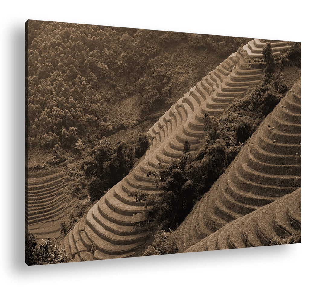 deyoli Reis Terrassen in Vietnam Format: 80x60 Effekt: Sepia als Leinwandbild, Motiv fertig gerahmt