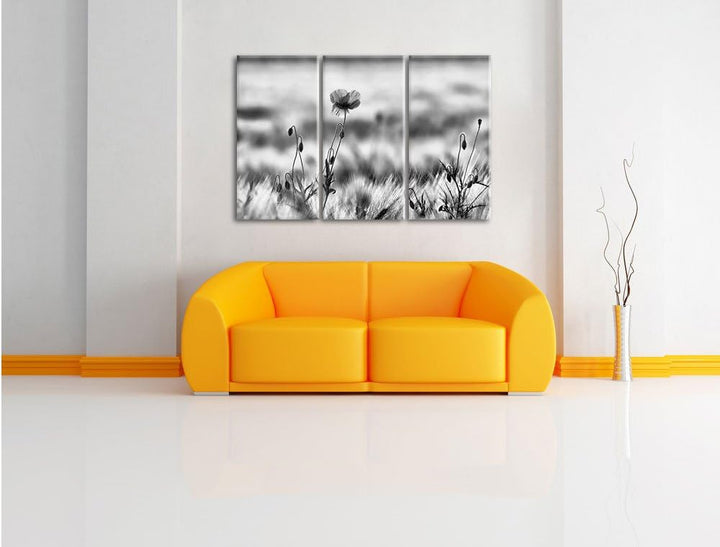 Pixxprint Blumen im Feld Tulpen als Leinwandbild/Grösse: 3 Teilig (120x80) cm/Wandbild/Kunstdruck/fe