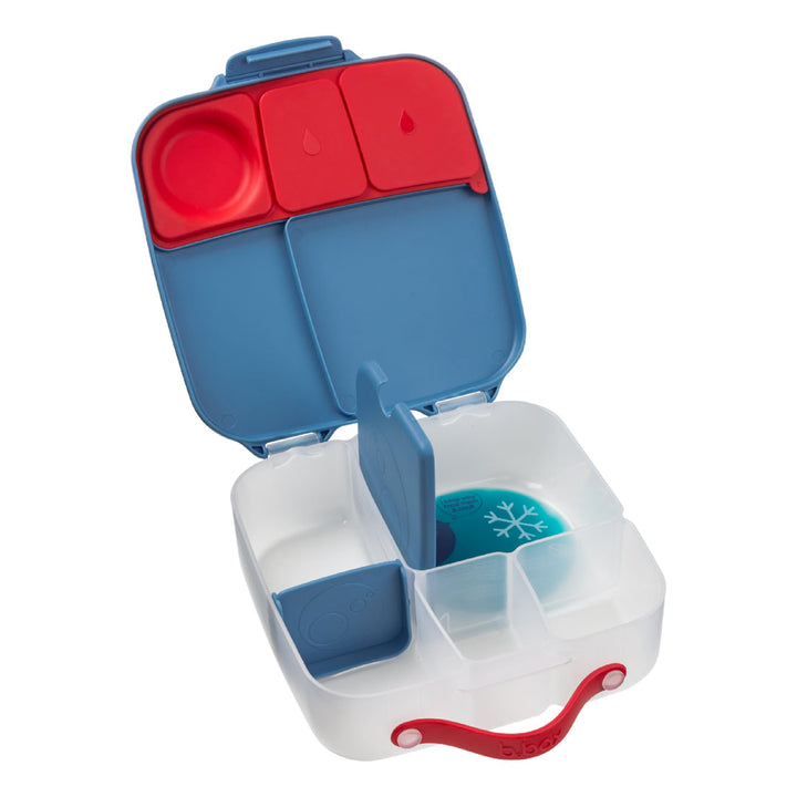 b.box Brotdose Kinder mit Fächern | Jumbo Bento Box mit 4 Fächern (2 Auslaufsicher), Herausnehmbarer