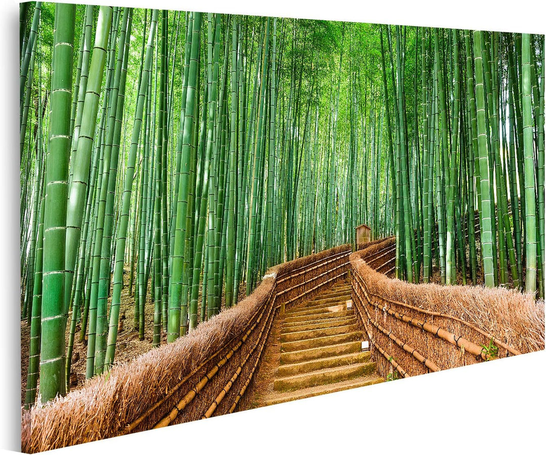 islandburner Bild auf Leinwand Kyoto Japan Wald Bilder Wandbilder Poster Leinwand 100x57cm, Leinwand