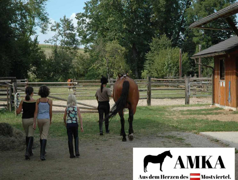 AMKA Steigbügel mit Gelenk dunkelblau Sicherheitssteigbügel Steigbügel Flexible Safety Stirrups Hors