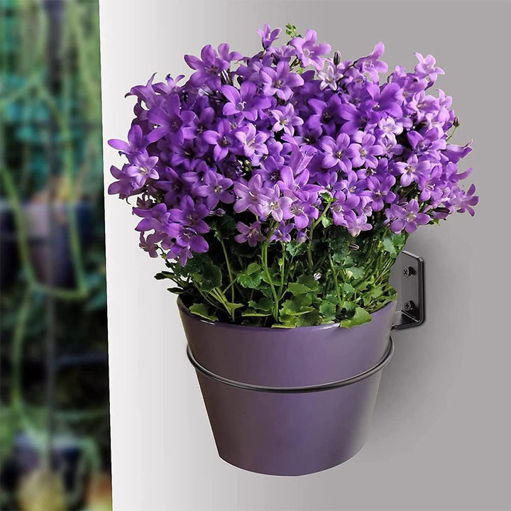 Anyingkai Blumentopf Wandhalterung,Faltbarer Blumentopfhalter Wand,Outdoor Blumentopfhalter Wand, Bl