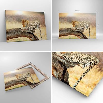 Bilder auf Leinwand Afrika Leopard Katze Safari Leinwandbild 70x50cm Wandbilder Dekoration Wohnzimme