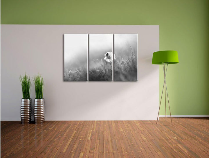Pixxprint Gänseblümchen Marienkäfer als Leinwandbild/Grösse: 3 Teilig (120x80) / Wandbild/Kunstdruck