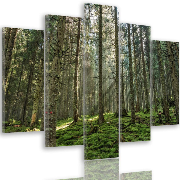 Feeby Leinwandbild Landschaft 5 TLG Bild Kunstdruck Natur Wald Bäume grün 100x70 cm Leinwandbild 100