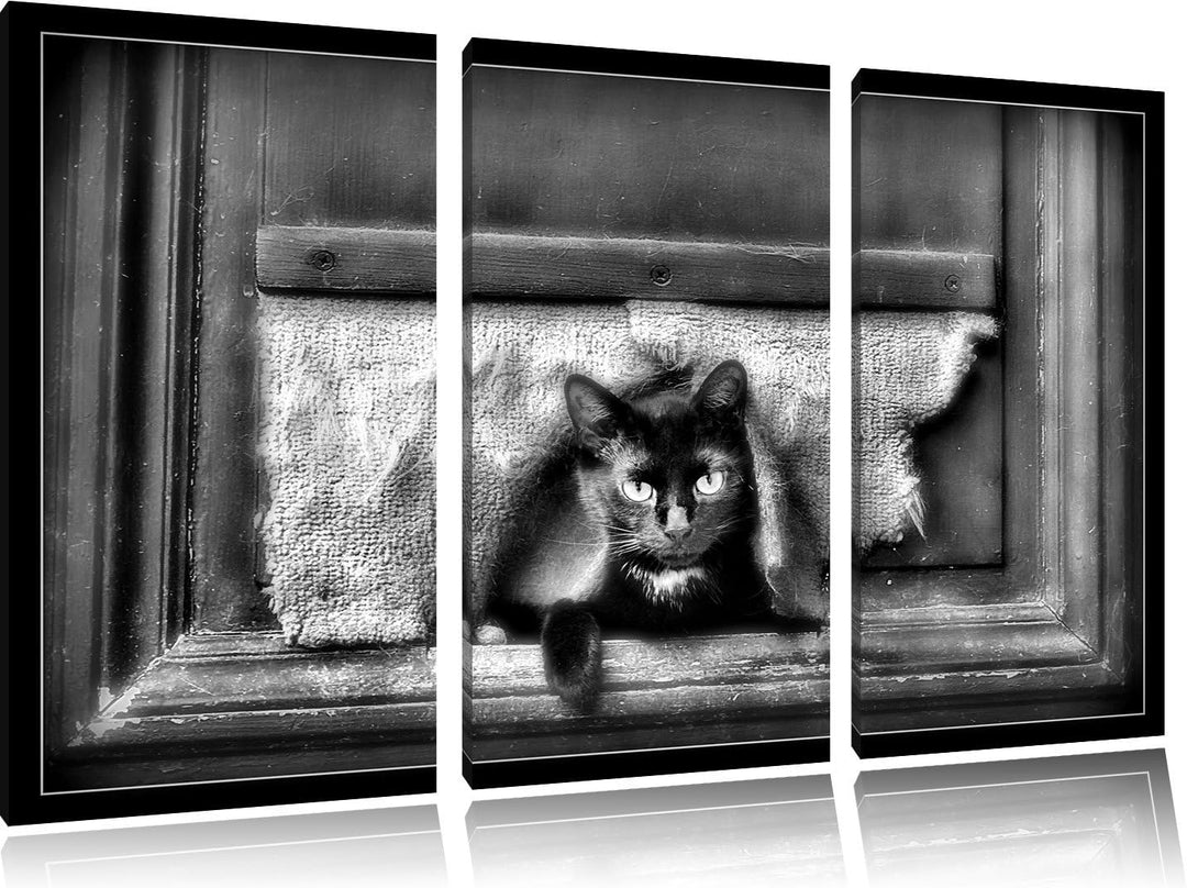 Pixxprint Monocrome, Schwarze Katze durch Hundeklappe 3-Teiler Leinwandbild 120x80 Bild auf Leinwand
