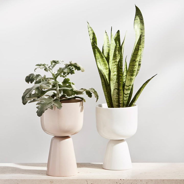 Iittala 1052354 Nappula Blumentopf, Keramik, Beige, 230x155mm 230x155mm Beige, 230x155mm Beige