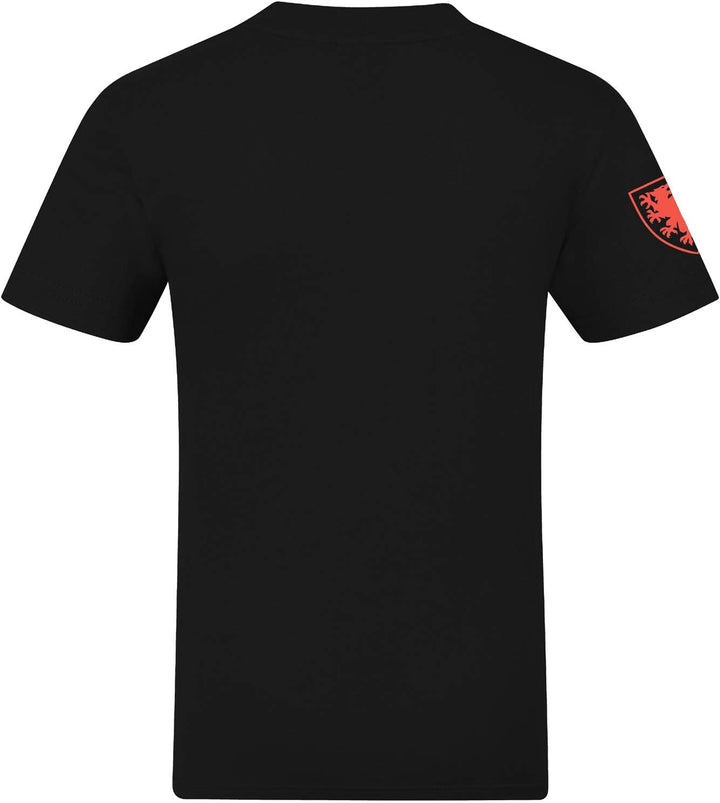 Wales FAW - Herren T-Shirt mit Grafik-Print - Offizielles Merchandise - Geschenk für Fussballfans 3X
