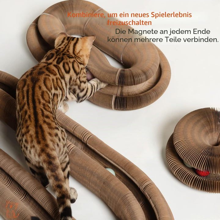 CUSIERYMAX Magic Organ Interaktives Kratzspielzeug für Katzen - Das ultimative interaktive mentale u