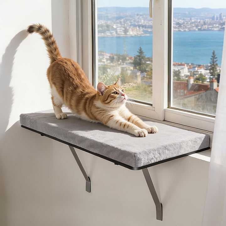 Katzen Fensterliege, Zvonema Stabiles Katzenbett Fensterbank mit Metallbefestigung, 61 x 30 cm Gross