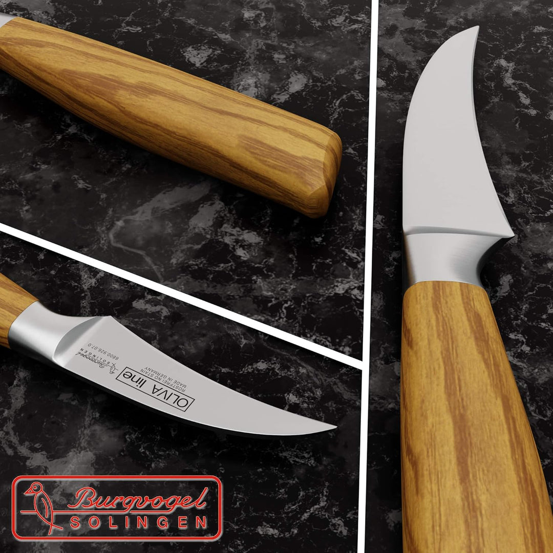 Burgvogel Solingen Tourniermesser 7 cm geschmiedet Olivenholz, Oliva Line, rostfrei, deutsches Schäl