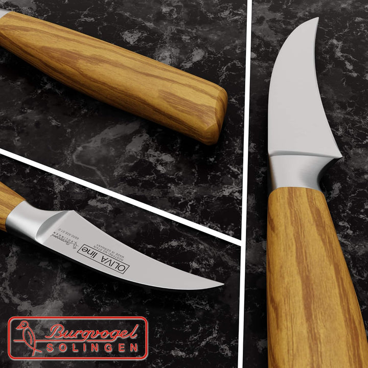 Burgvogel Solingen Tourniermesser 7 cm geschmiedet Olivenholz, Oliva Line, rostfrei, deutsches Schäl