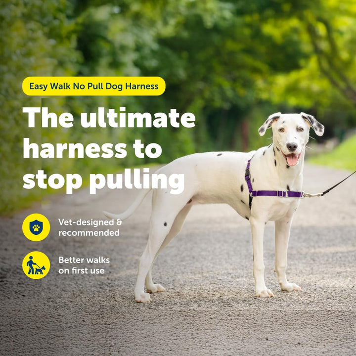 PetSafe Easy Walk Hundegeschirr. schwarz/silber Medium/Large, schwarz/silber Medium/Large