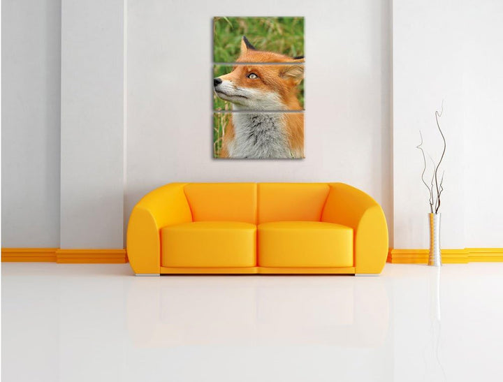 Pixxprint Fuchs auf Wiese als Leinwandbild/Grösse: 3 Teilig (120x80) cm/Wandbild/Kunstdruck/fertig b