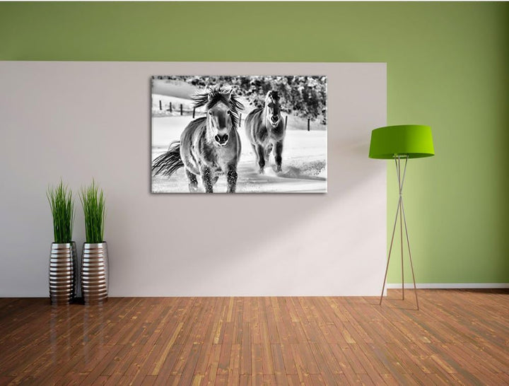 Pixxprint Pferd im Schnee / 100x70cm Leinwandbild bespannt auf Holzrahmen/Wandbild Kunstdruck Dekora